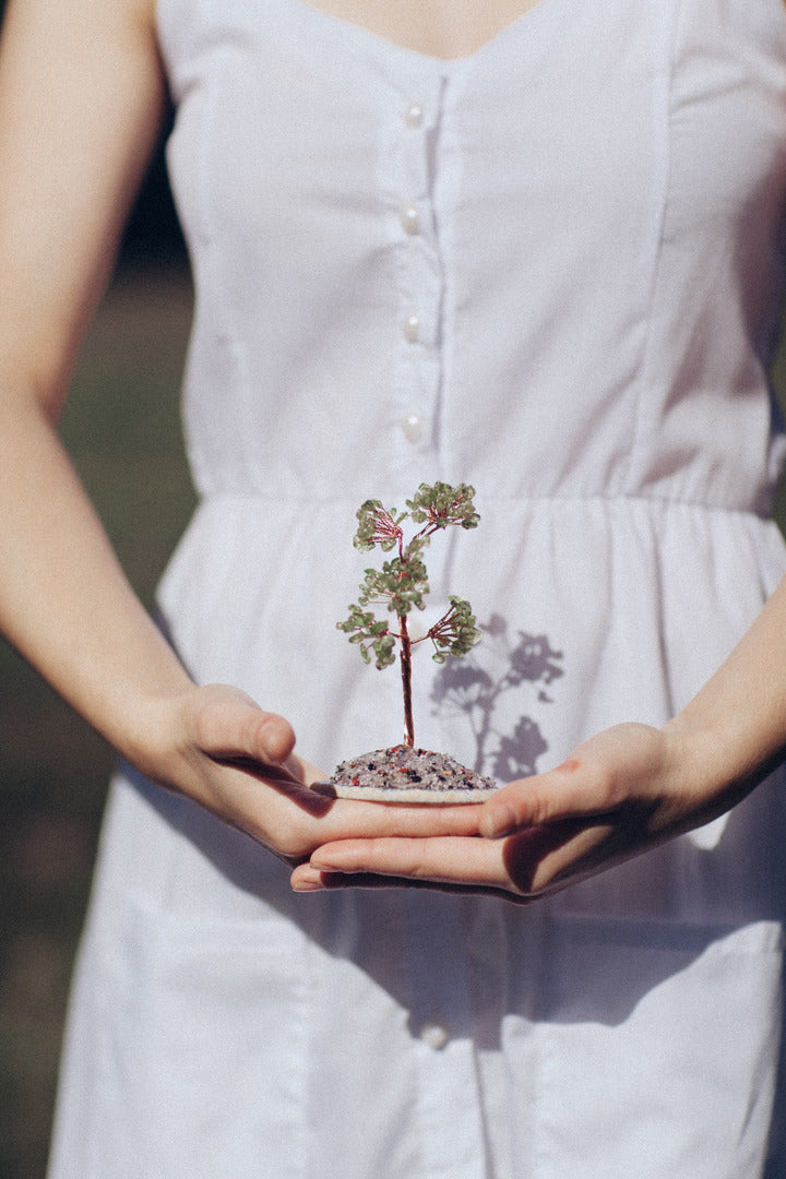 Positividade E Significado - Oliveira Quartzo Feng Shui Cristaleira Com Base Redonda