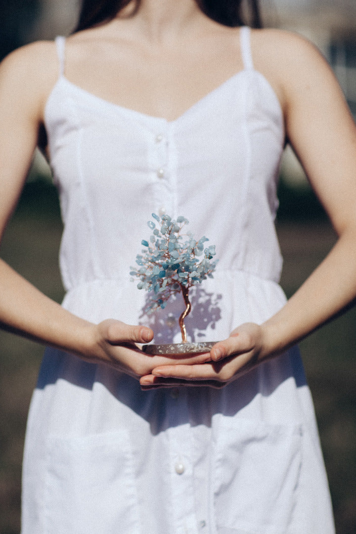 Paz Interior E Serenidade - Árvore Feng Shui Aquamarine Com Base Em Ágata